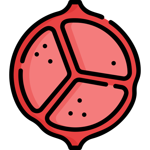 Valvuloplasty